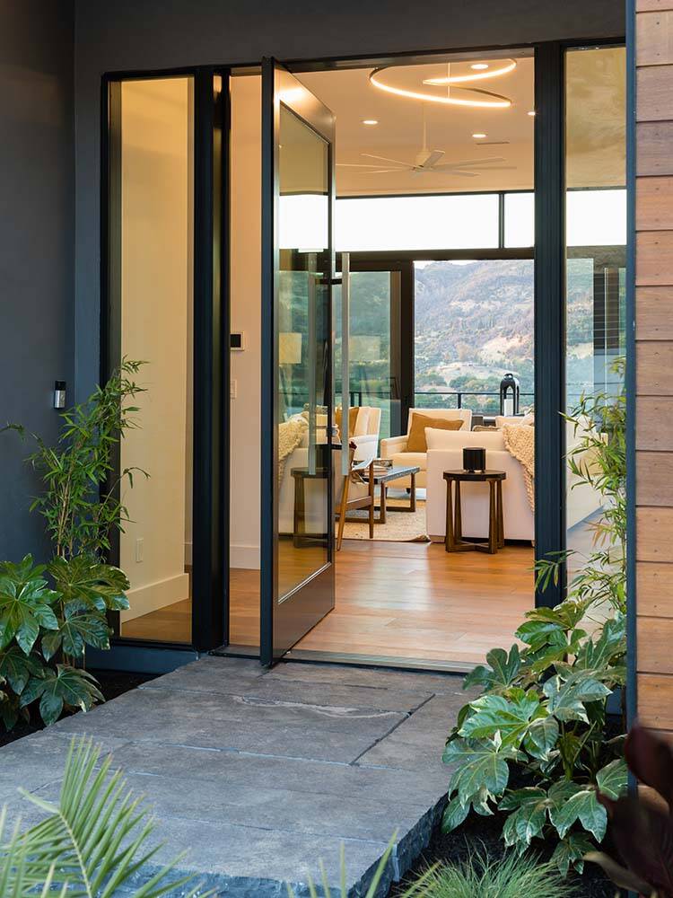 modern-decorative-transparent-superior-pivot door
